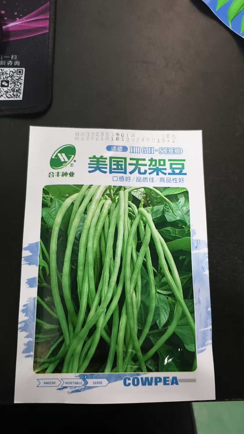 无架豆种子-不用搭架肉厚脆嫩口感佳丰产性好