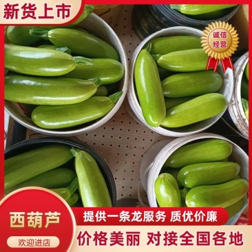 聊城绿皮西葫芦大小都有承接电商商超批发市场加工餐饮运费低
