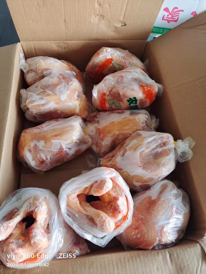 三黄鸡山东腾惠更多客户的选择冷链物流全国发货
