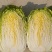 湖北利川现砍黄芯大白菜。农家种植新鲜直供。