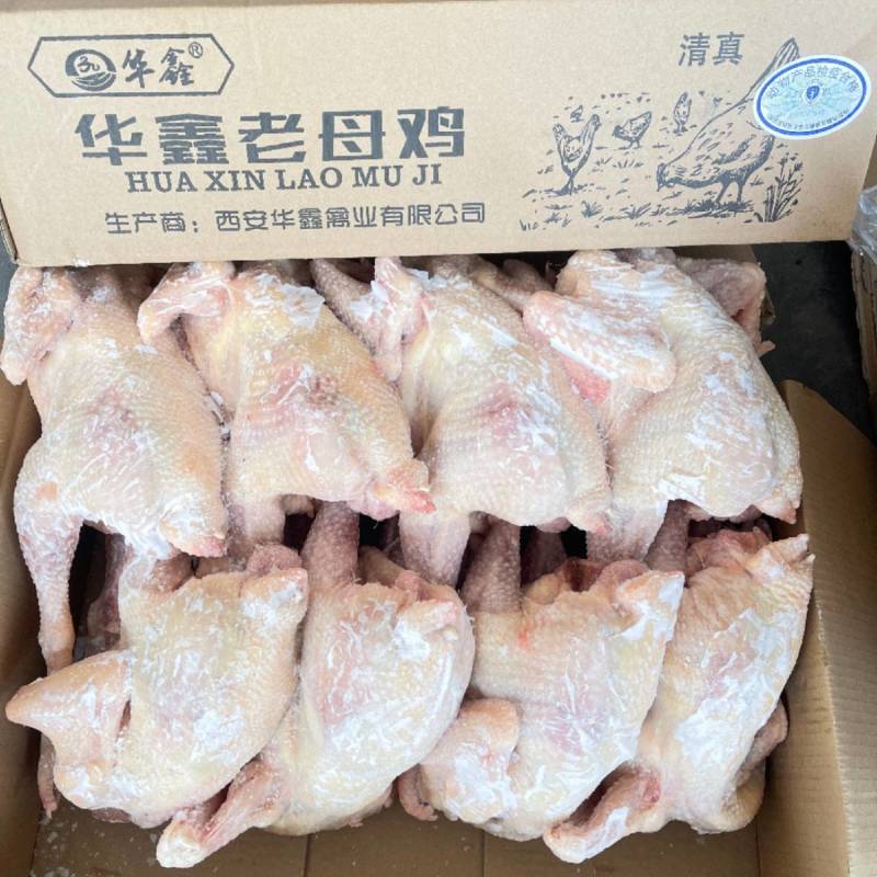 华鑫红毛老母鸡清真去双管全净膛干净无绒毛出肉率高