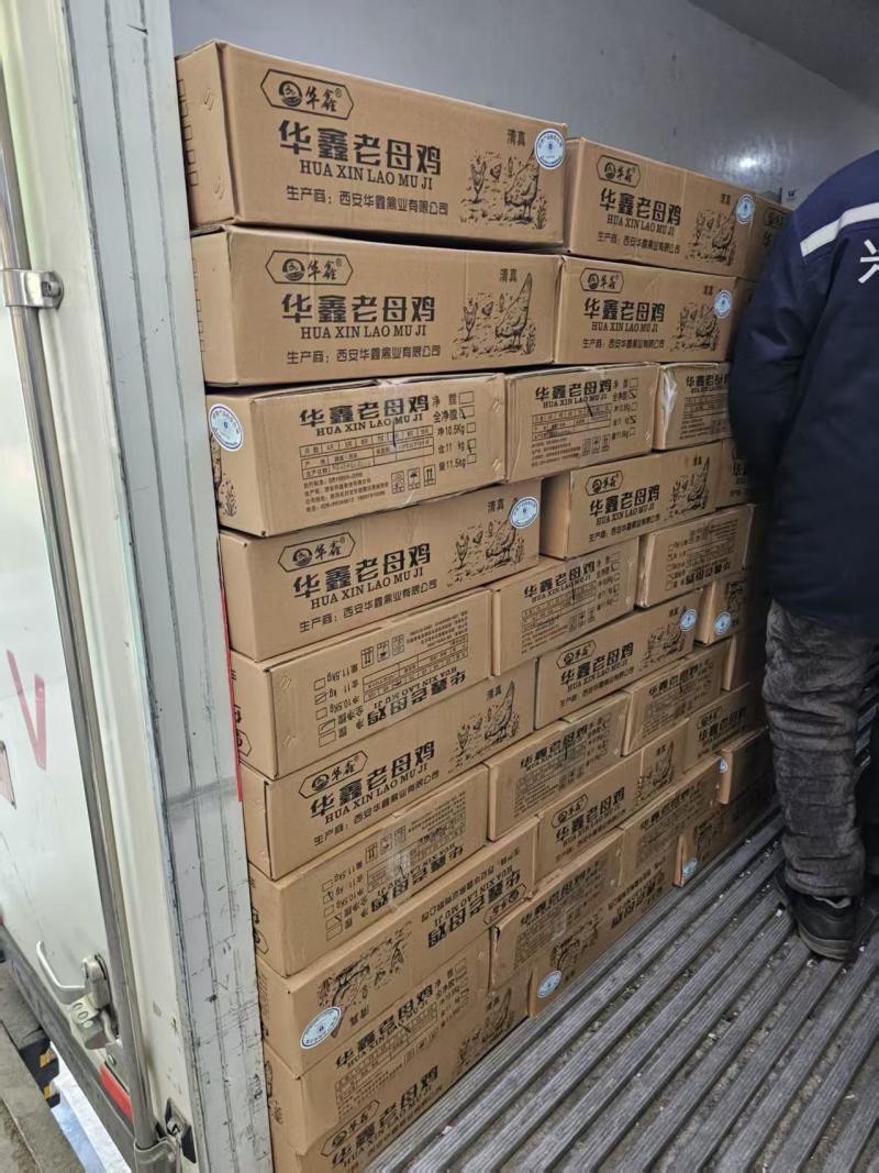 华鑫红毛老母鸡清真去双管全净膛干净无绒毛出肉率高