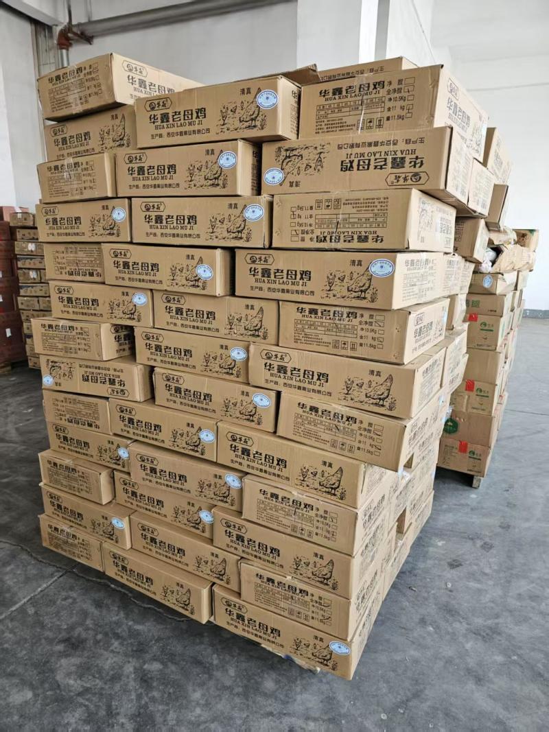 华鑫红毛老母鸡清真去双管全净膛干净无绒毛出肉率高
