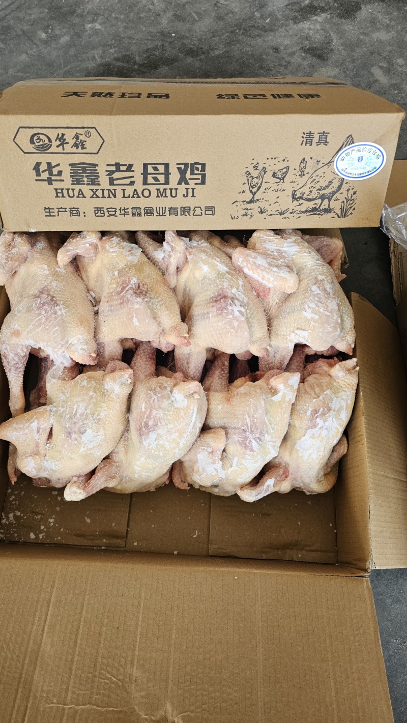 华鑫红毛老母鸡清真去双管全净膛干净无绒毛出肉率高