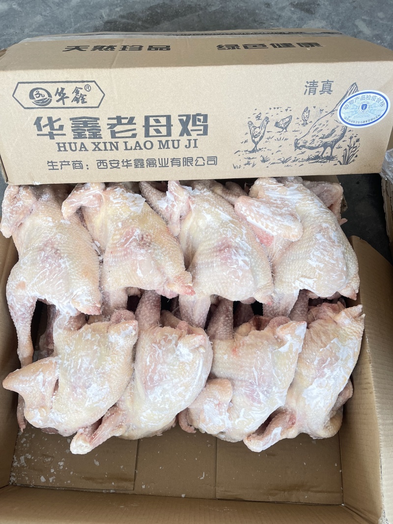 华鑫红毛老母鸡清真去双管全净膛干净无绒毛出肉率高