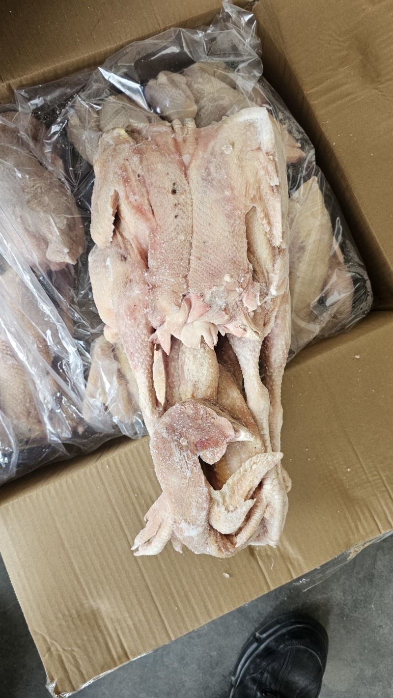 华鑫红毛老母鸡清真去双管全净膛干净无绒毛出肉率高