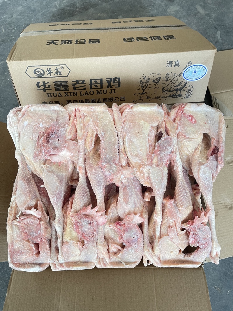 华鑫红毛老母鸡清真去双管全净膛干净无绒毛出肉率高