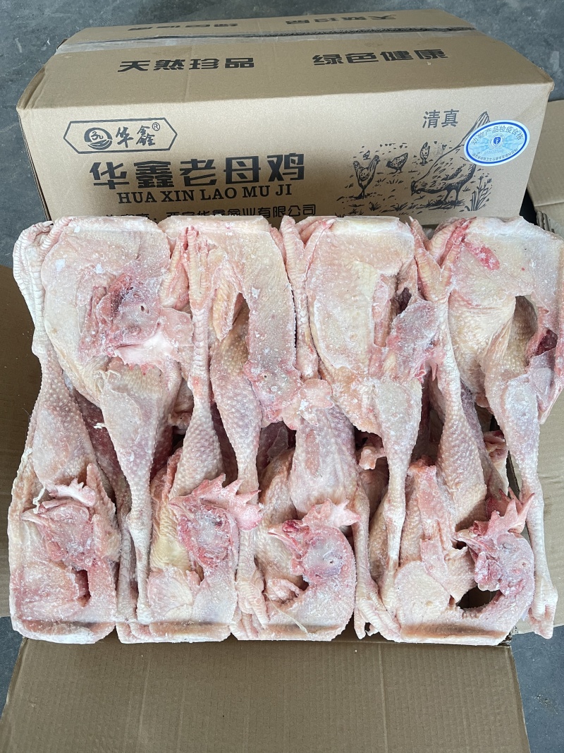 华鑫红毛老母鸡清真去双管全净膛干净无绒毛出肉率高