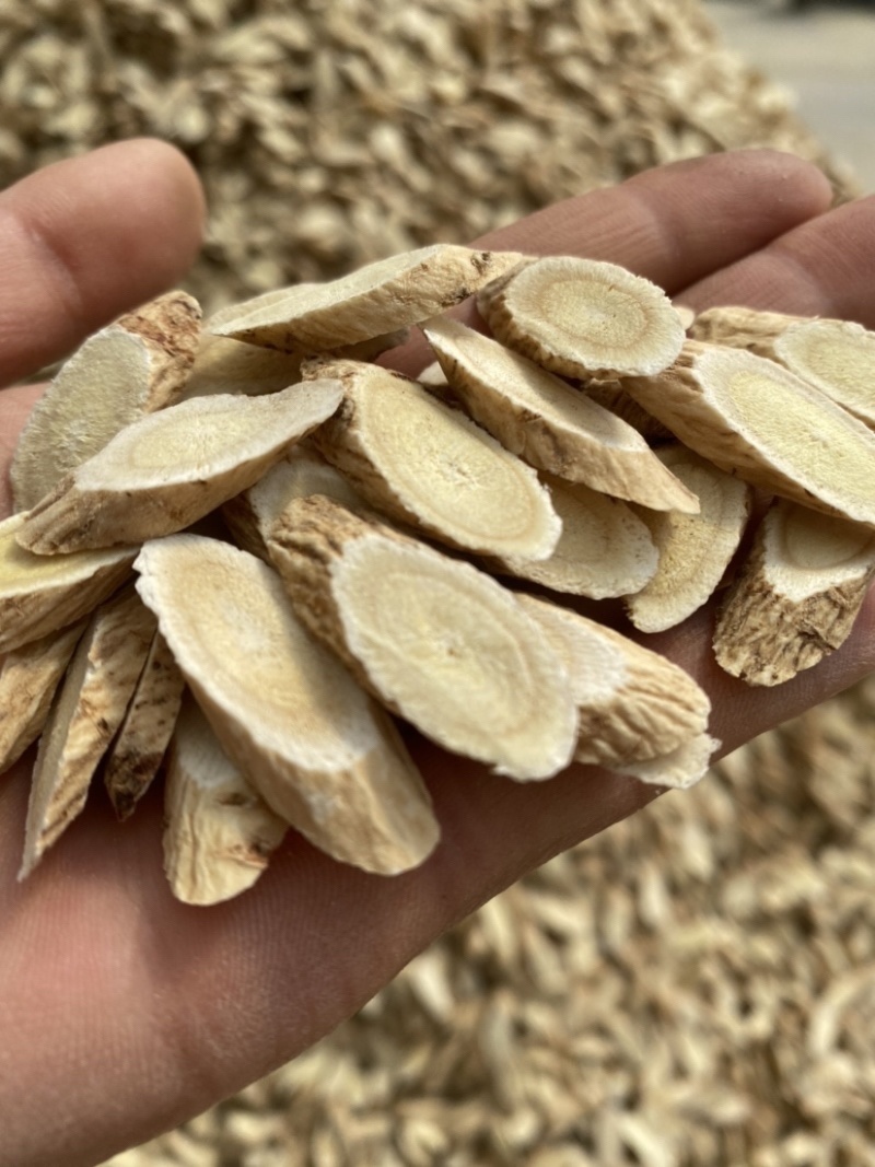 黄芪种子纯新棉芪籽耐寒耐干旱种植简单好管理