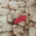 扇贝柱，北极贝柱，江瑶贝柱，马贝柱，虾夷贝柱，贝柱