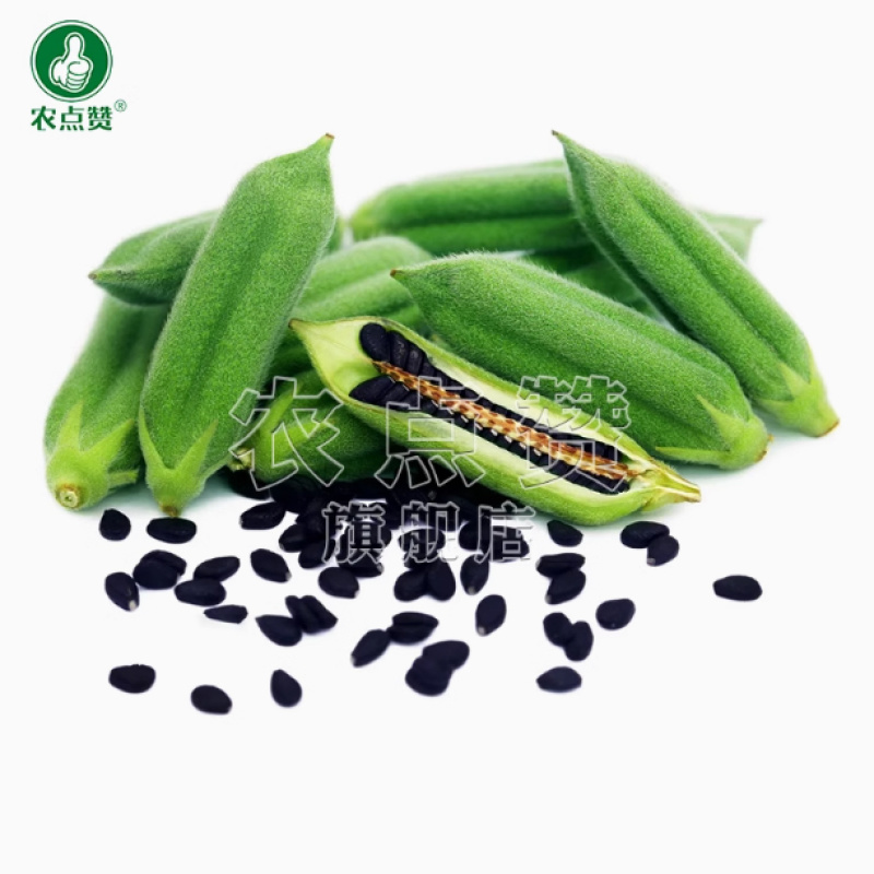 芝麻种子-含油量高耐热易种耐重茬密而多蒴果肥大