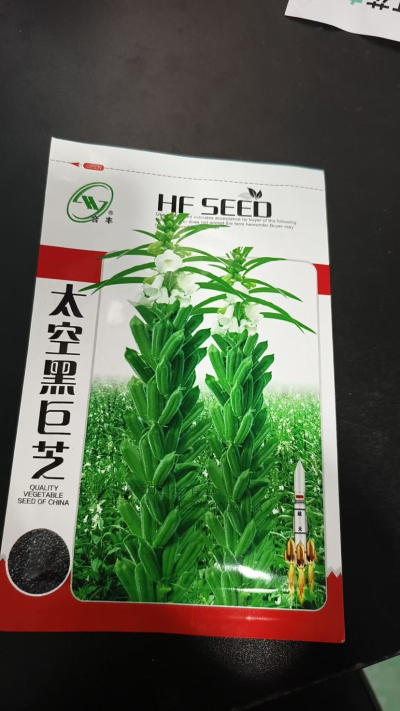 芝麻种子-含油量高耐热易种耐重茬密而多蒴果肥大