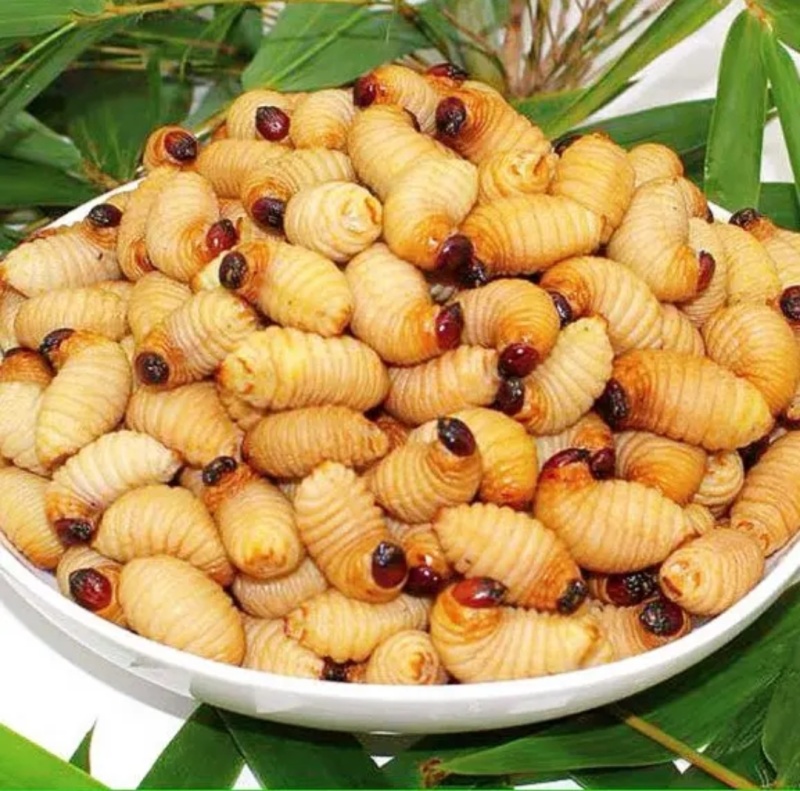 竹笋虫竹虫烧烤椒盐