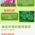 钙镁硼锌铁颗粒剂补充中微量元素提质增产