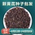黄芪种子批发新采黄芪籽包发芽免费提供技术指导
