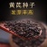 黄芪种子纯新籽包发芽免费提供种植技术种植简单好管理
