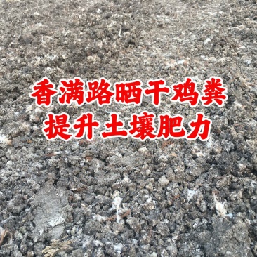 济南鸡粪,聊城发酵鸡粪,淄博干鸡粪,稻壳鸡粪,青岛鸡粪
