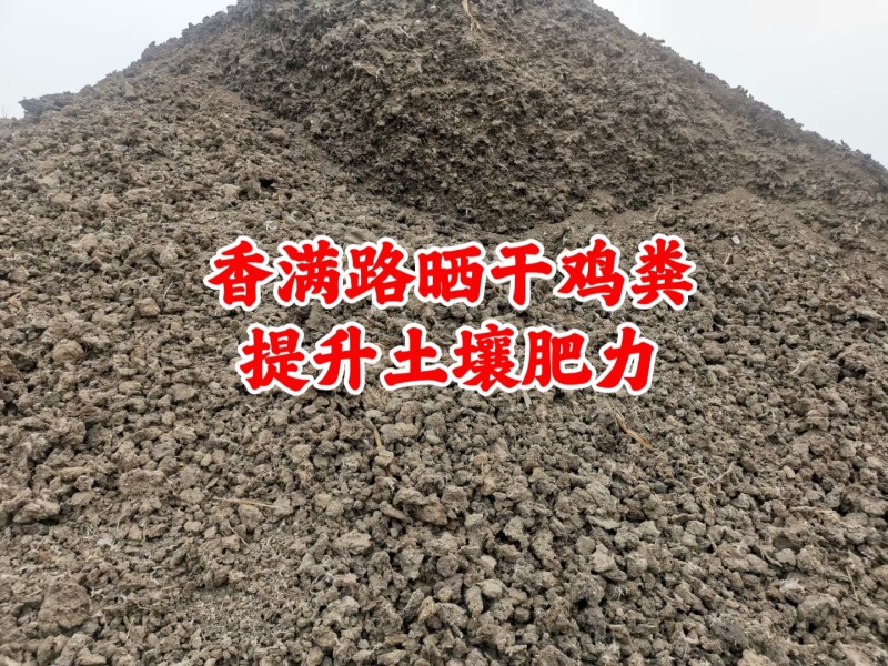 烟台鸡粪,青岛发酵鸡粪,潍坊干鸡粪,聊城稻壳鸡粪改良土壤