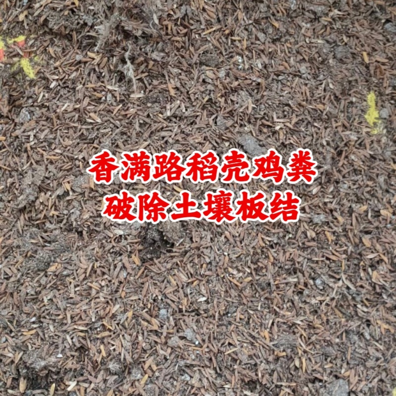济南鸡粪,济宁发酵鸡粪,淄博稻壳鸡粪,青岛鸡粪有机肥肥田