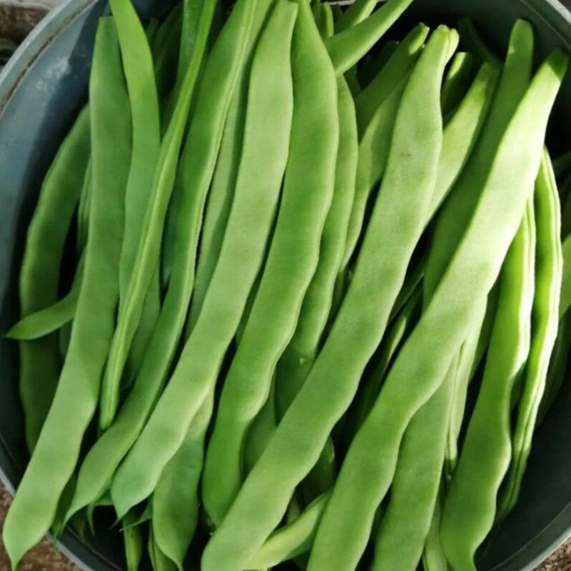 【实力推荐】新鲜扁青芸豆扁豆角山东产地直供可视频看货