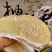 高端新品台湾麻豆文旦柚枝条，杯苗，口感好纯甜