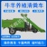 牛羊粪便全自动清粪车柴油液压牛圈铲粪车大型养殖场清粪车