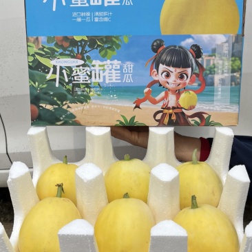 热销星甜20星甜甜瓜蜜罐小蜜蜂甜瓜4.5斤电商一件代发