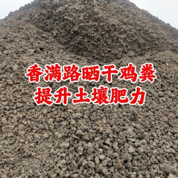 聊城稻壳鸡粪,济南发酵鸡粪有机肥,烟台鸡粪,济宁稻壳鸡粪