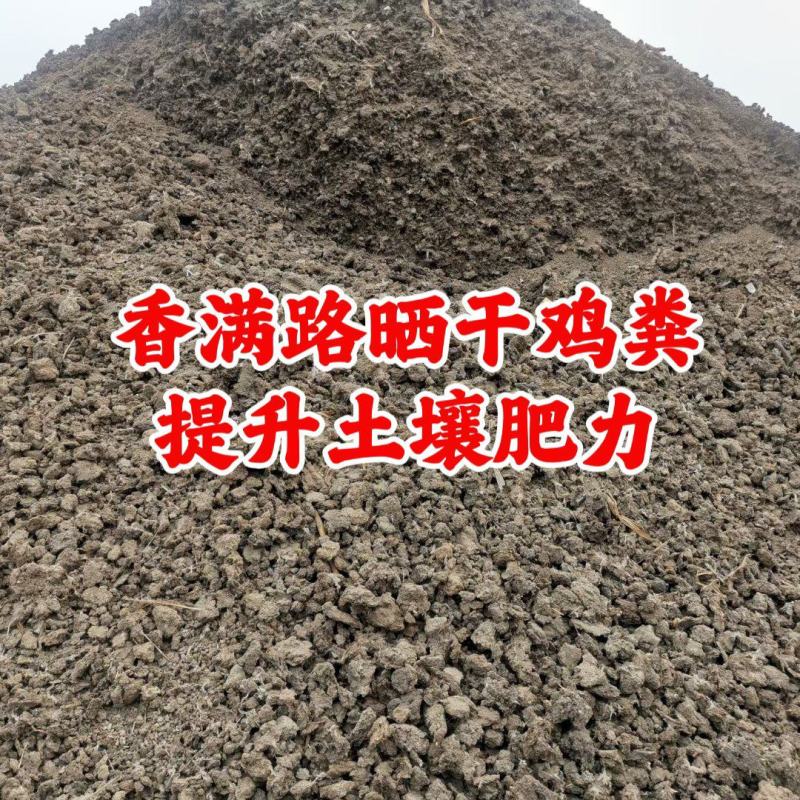 聊城稻壳鸡粪,济南发酵鸡粪有机肥,烟台鸡粪,济宁稻壳鸡粪
