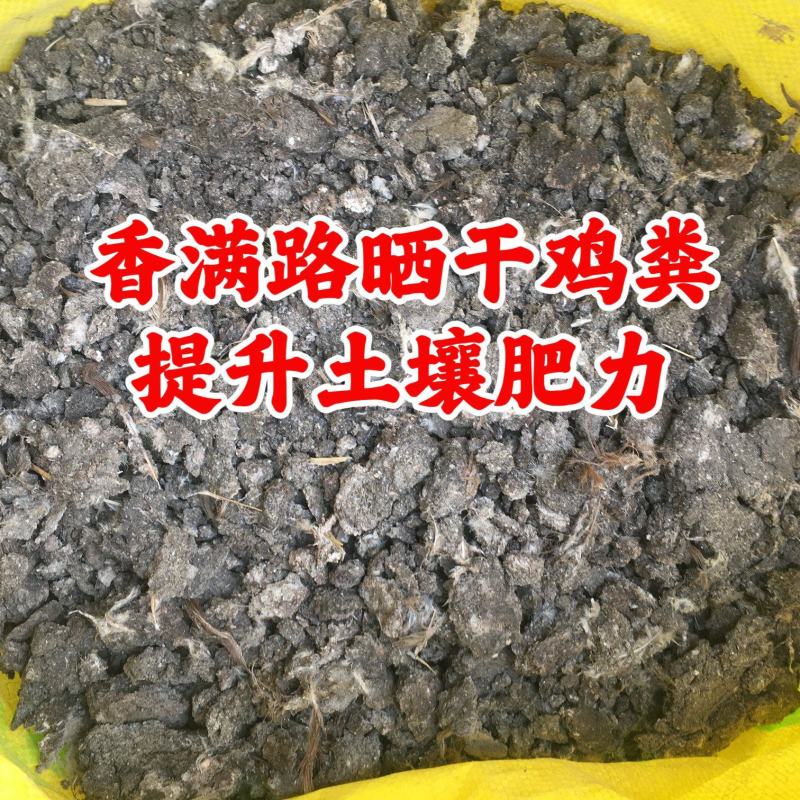 干鸡粪,聊城干鸡粪,北京鸡粪,青岛发酵鸡粪,烟台鸡粪肥