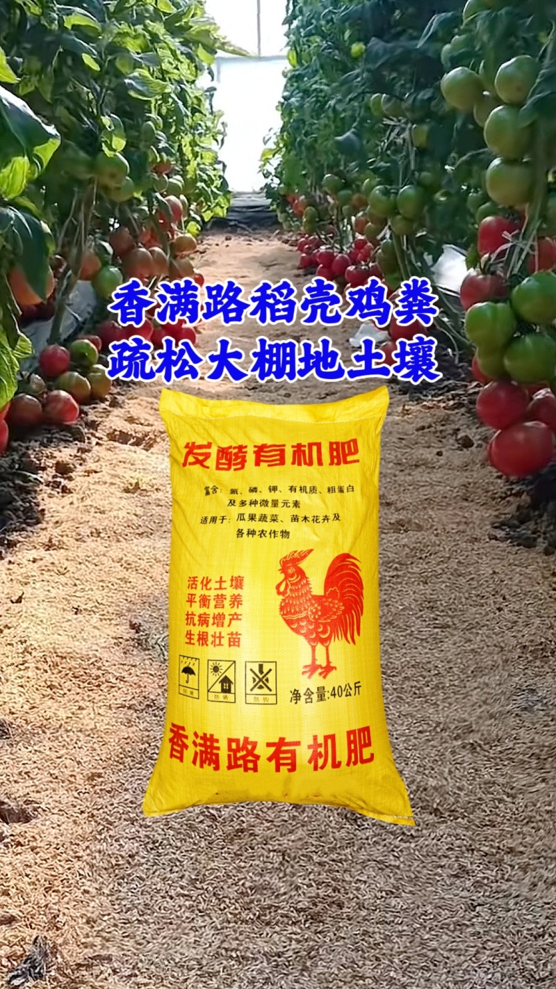 干鸡粪,聊城干鸡粪,北京鸡粪,青岛发酵鸡粪,烟台鸡粪肥