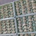 纯手工驴肉水饺