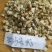 北沙参种子纯新河北内蒙沙参籽提供技术指导包发芽率