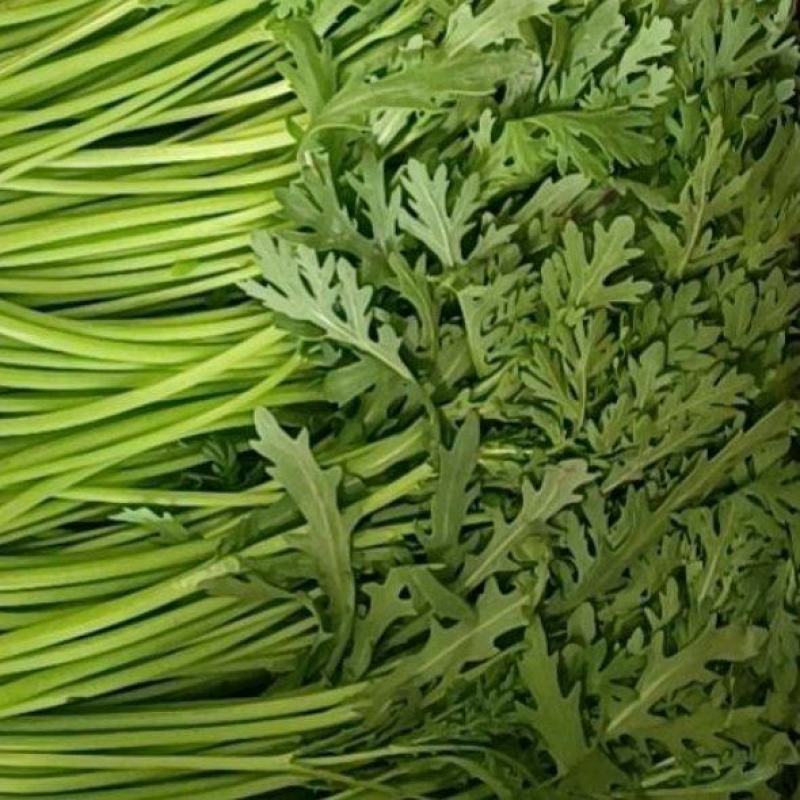 茼蒿小叶茼蒿江苏叶菜批发全国发货电商市场商超工厂货