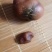 鸡宝，杀鸡时发现取出来的，绝无虚假