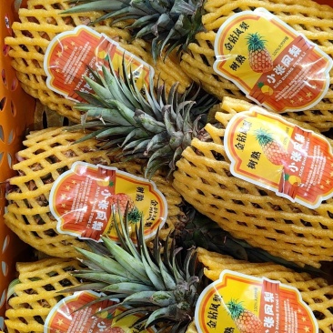 框装大凤梨