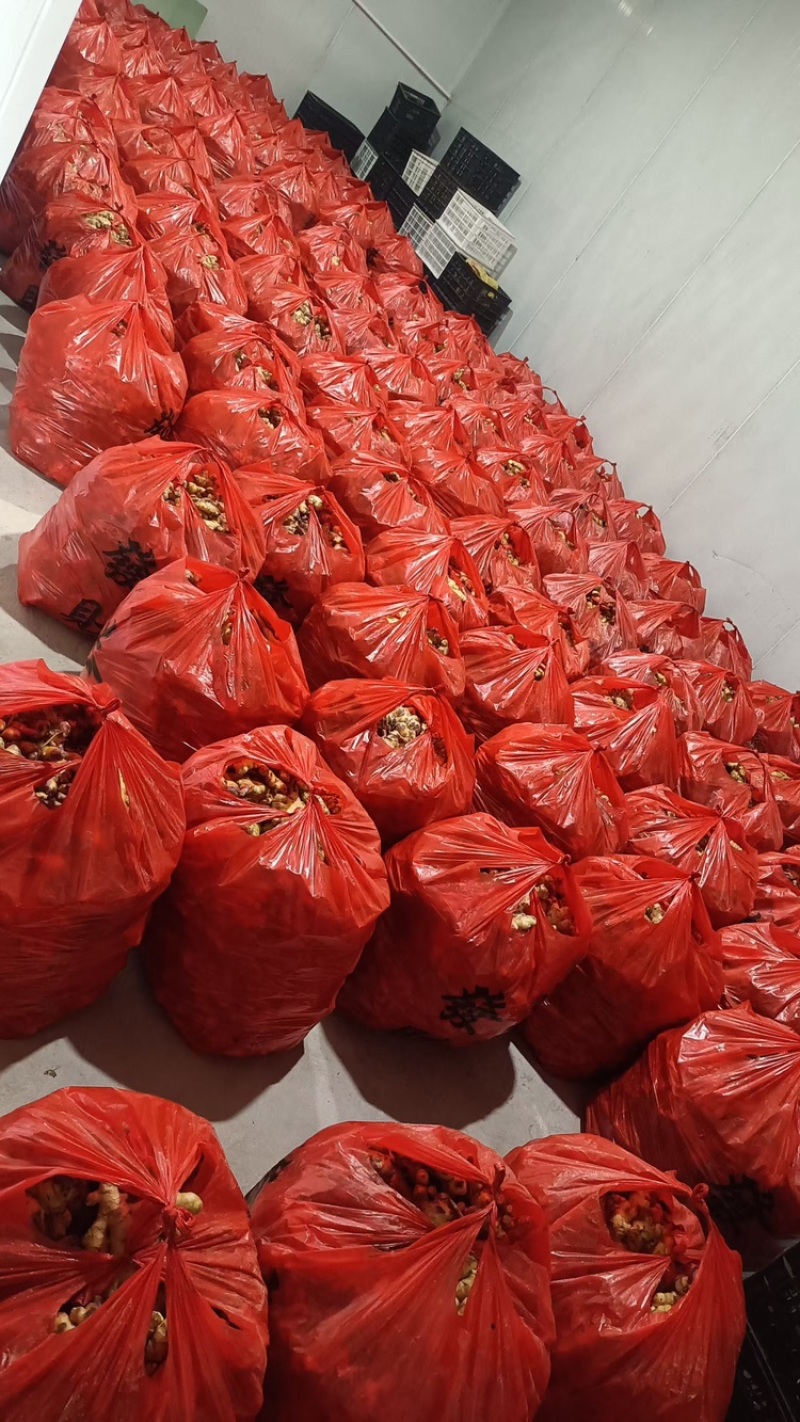 小黄姜，产地直发，大量有货，欢迎各位老板咨询采购