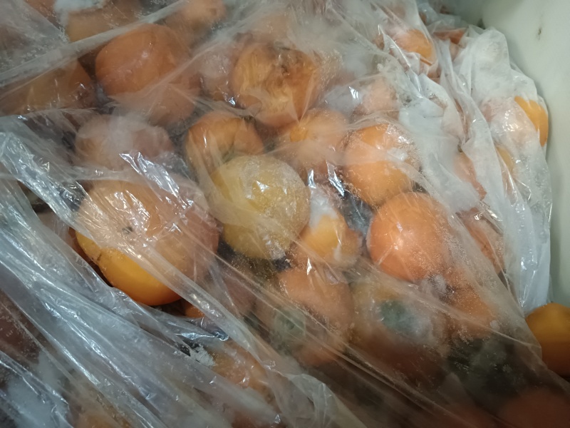 尖柿冷库存放的冻柿子做冰柿的优质原料
