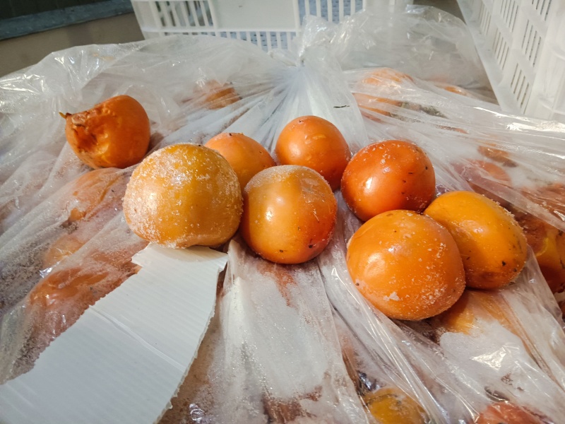 尖柿冷库存放的冻柿子做冰柿的优质原料