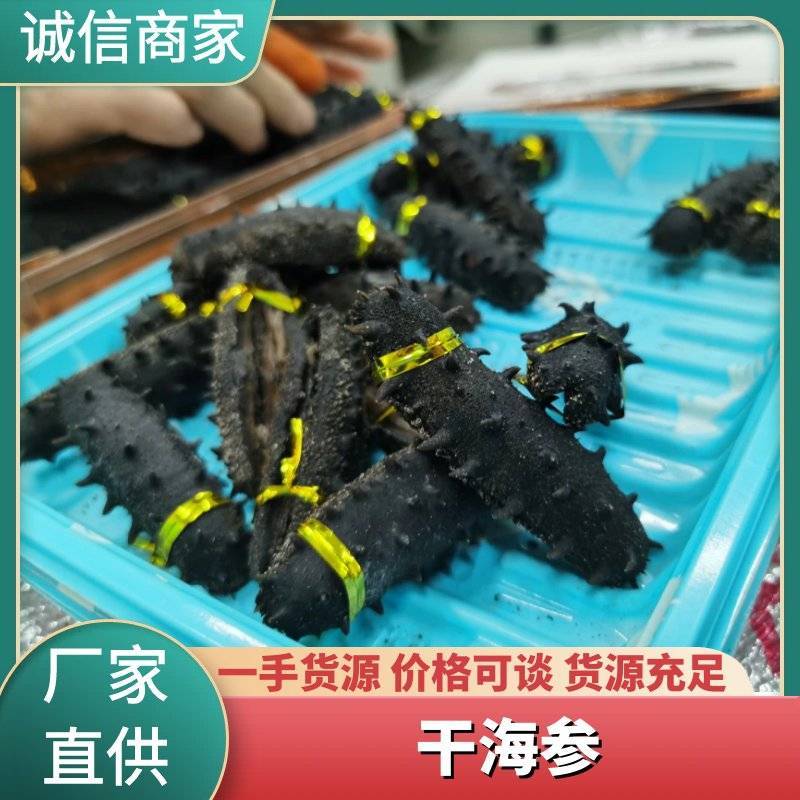 淡干海参，活体海参加工，参刺粗壮，肉质肥厚弹牙，艮啾啾