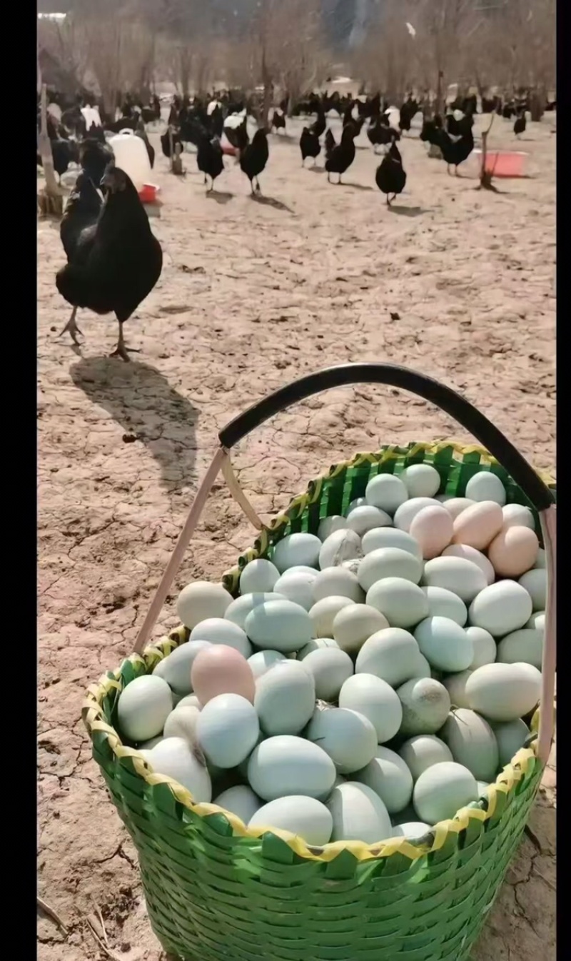 绿壳鸡蛋