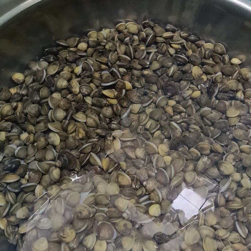 黄沙蚬河蚬蚬子蛤俐