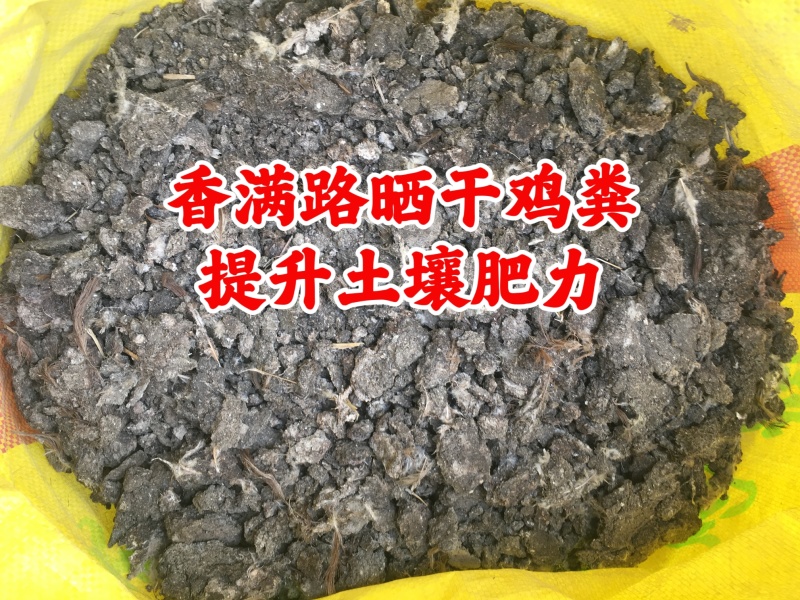 烟台鸡粪,青岛发酵鸡粪,潍坊干鸡粪,聊城稻壳鸡粪改良土壤