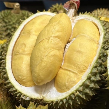 泰国甲仑榴莲巴掌榴莲非猫山王榴莲金枕头榴莲一件代发批发