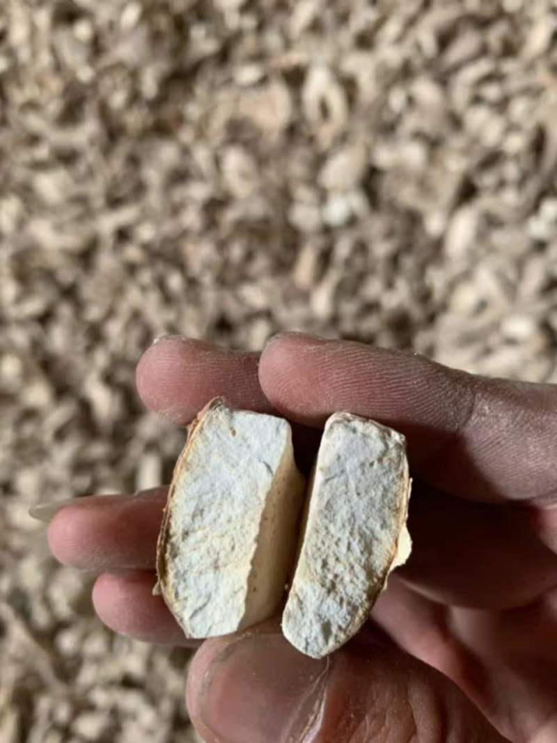 180吨越南三朵黄花牌木薯淀粉已到南沙港待清，有意联系。