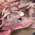 【品质保障】清真水煮全熟牛头肉量大优惠可视频看货