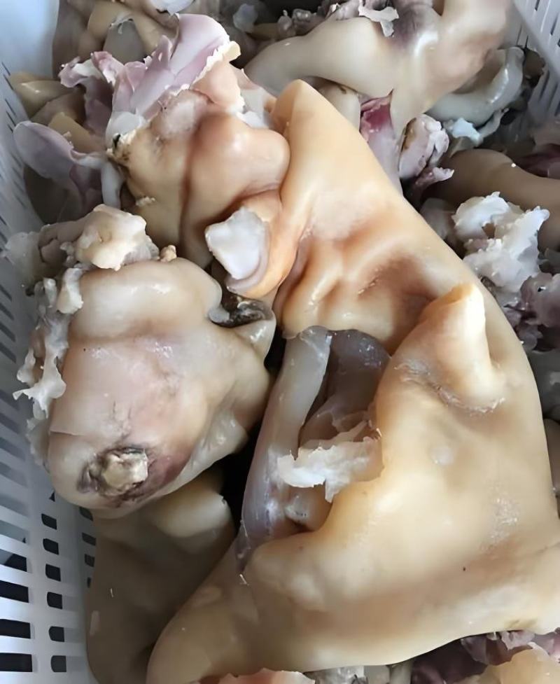 【品质保障】吉林长春清真水煮全熟牛蹄筋纯干