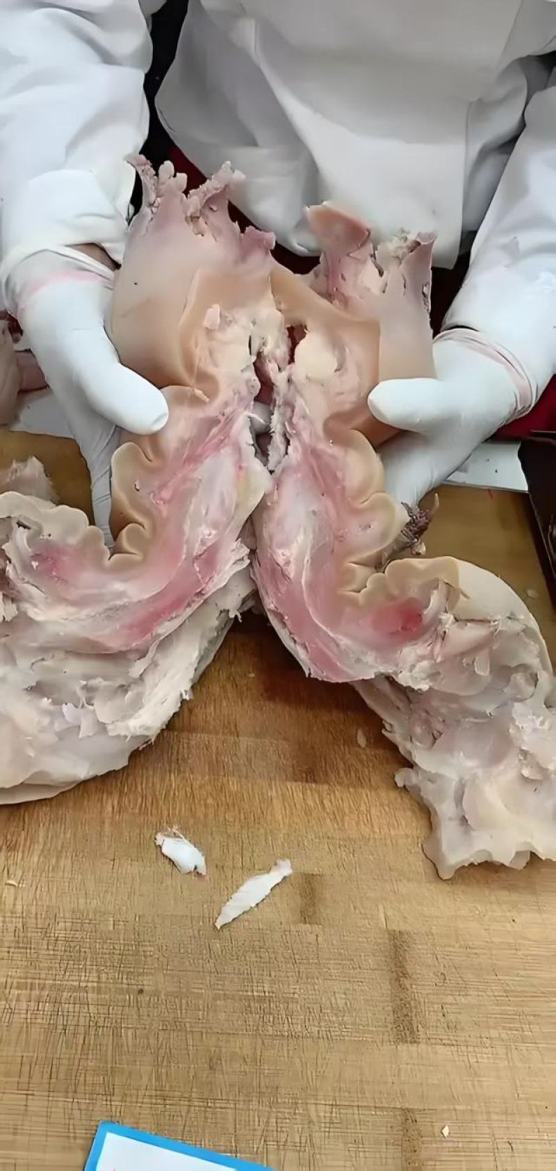 【品质保障】吉林长春清真水煮全熟牛蹄筋纯干