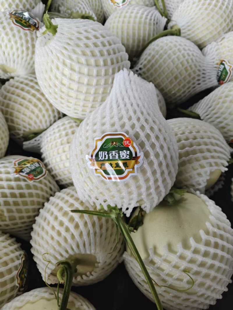 冰淇淋玉菇甜瓜奶香蜜白玉茹档口商超社区团购电商直播