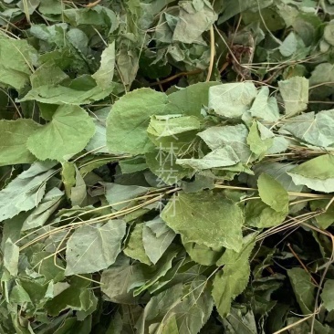 淫羊藿【包邮】三斤起发货可批量可零售量大从优